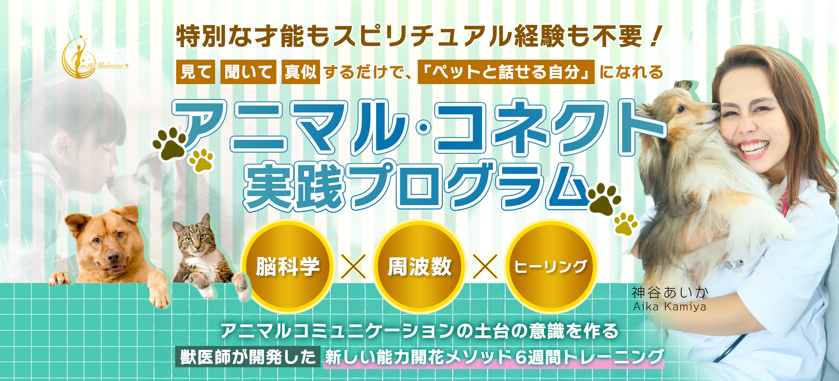 美と意識のフェス